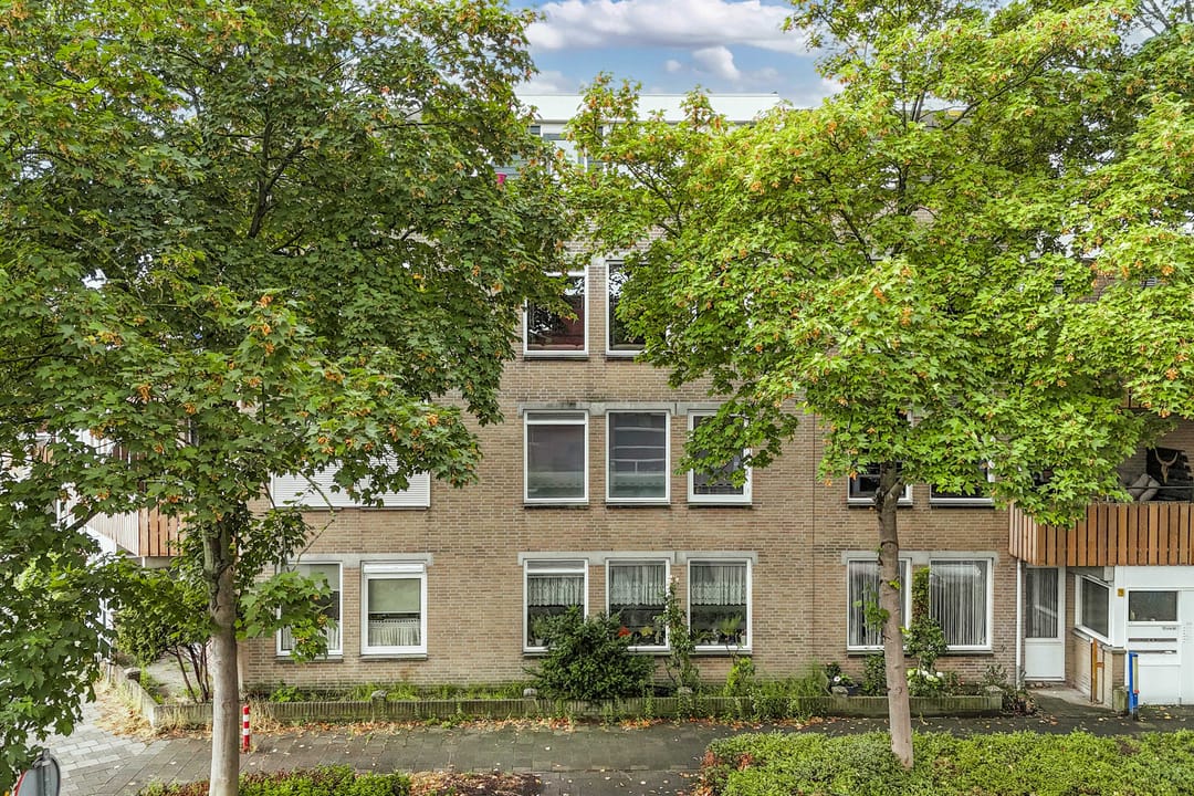 Foto 43 van Trijntje Kemp-Haanstraat 64