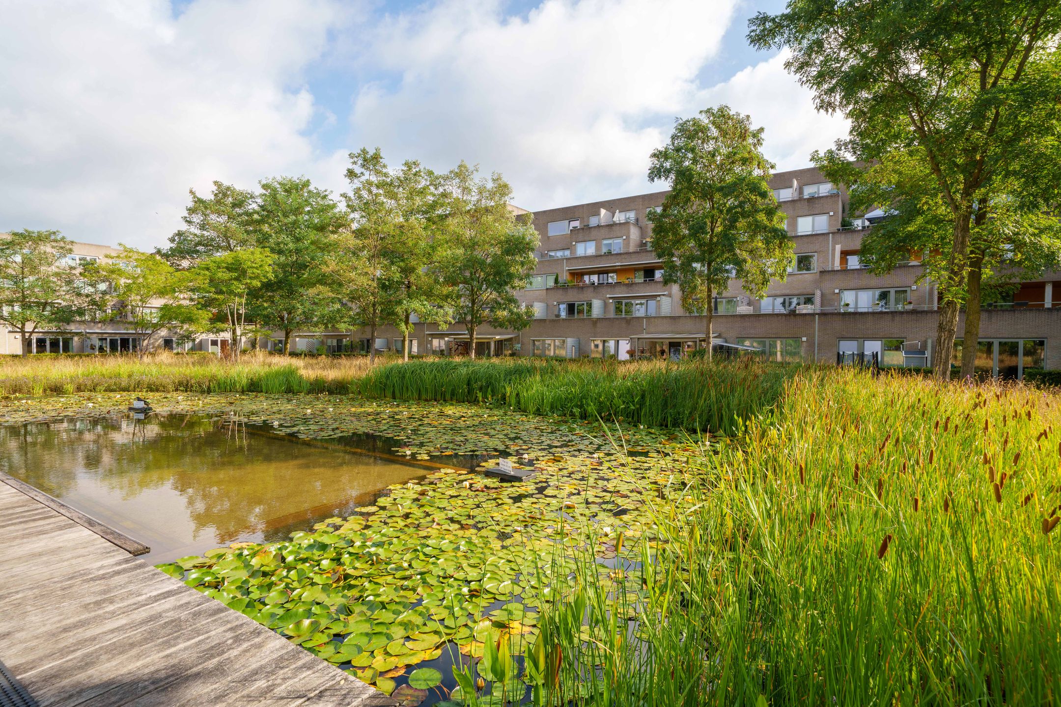Photo 30 of Poseidonsingel 55-H