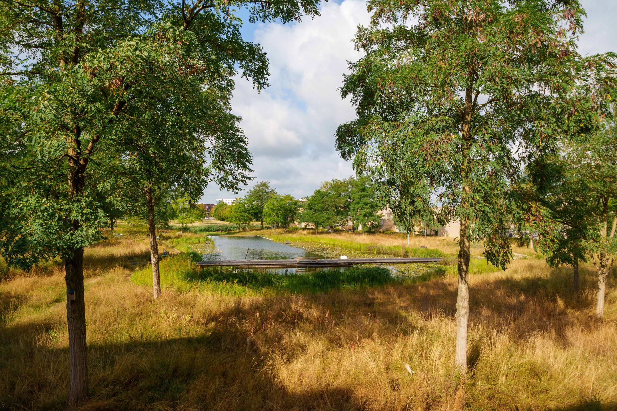 Photo 33 of Poseidonsingel 55-H