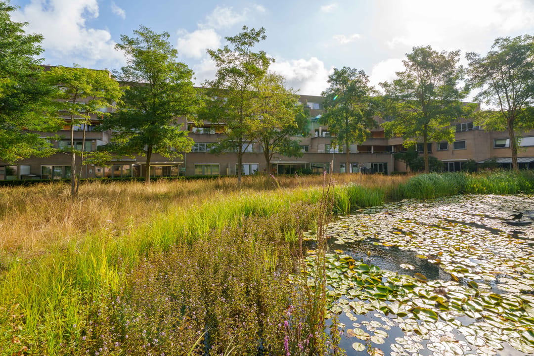Photo 31 of Poseidonsingel 55-H
