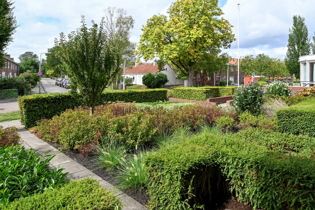 Photo 17 of Admiraal de Ruyterlaan 2-D