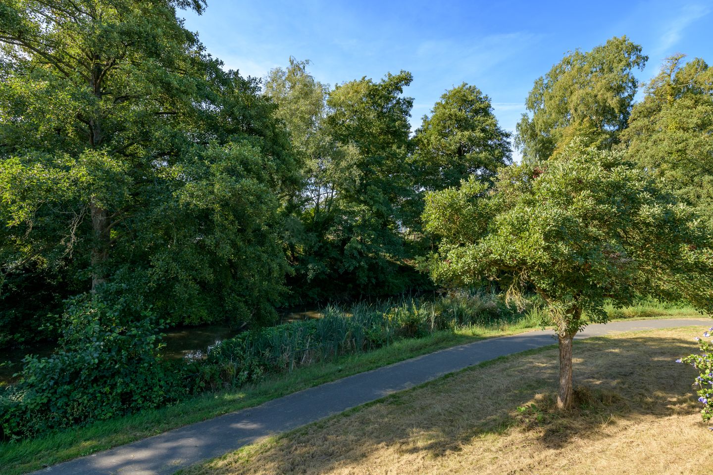 Foto 4 van Schepenenveld 151