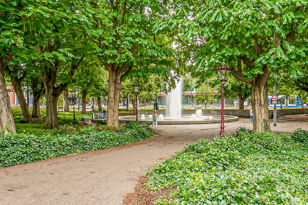Photo 28 of Utrechtsedwarsstraat 48-N