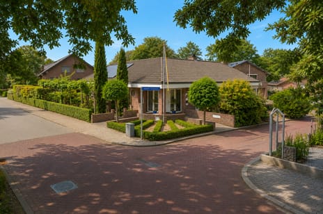 Albert Cuypstraat thumbnail