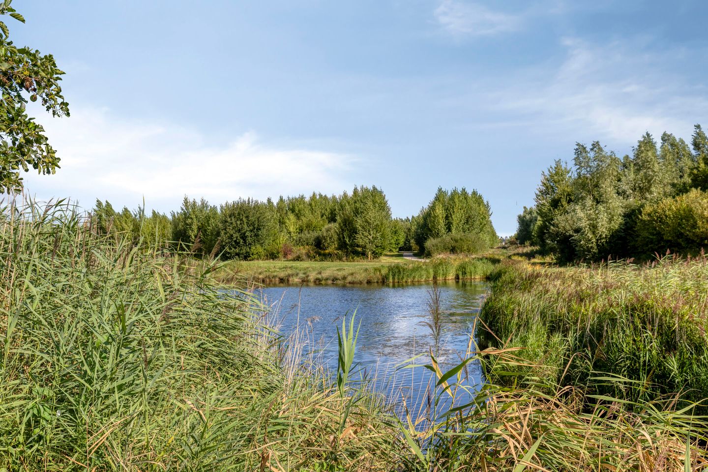 Foto 44 van Maasstroom 1