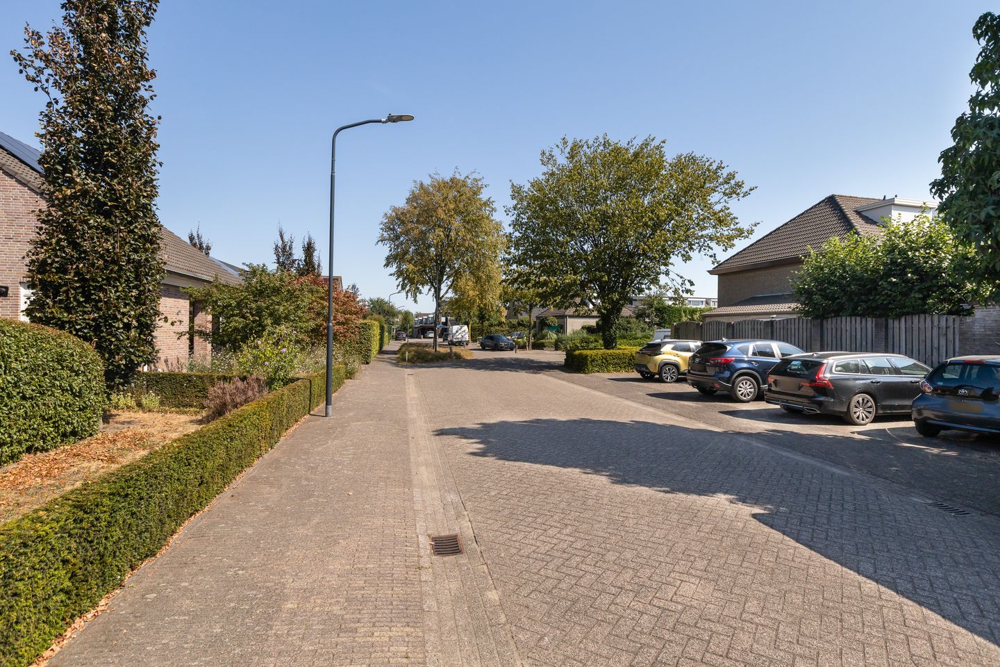 Foto 44 van Hesseling 27