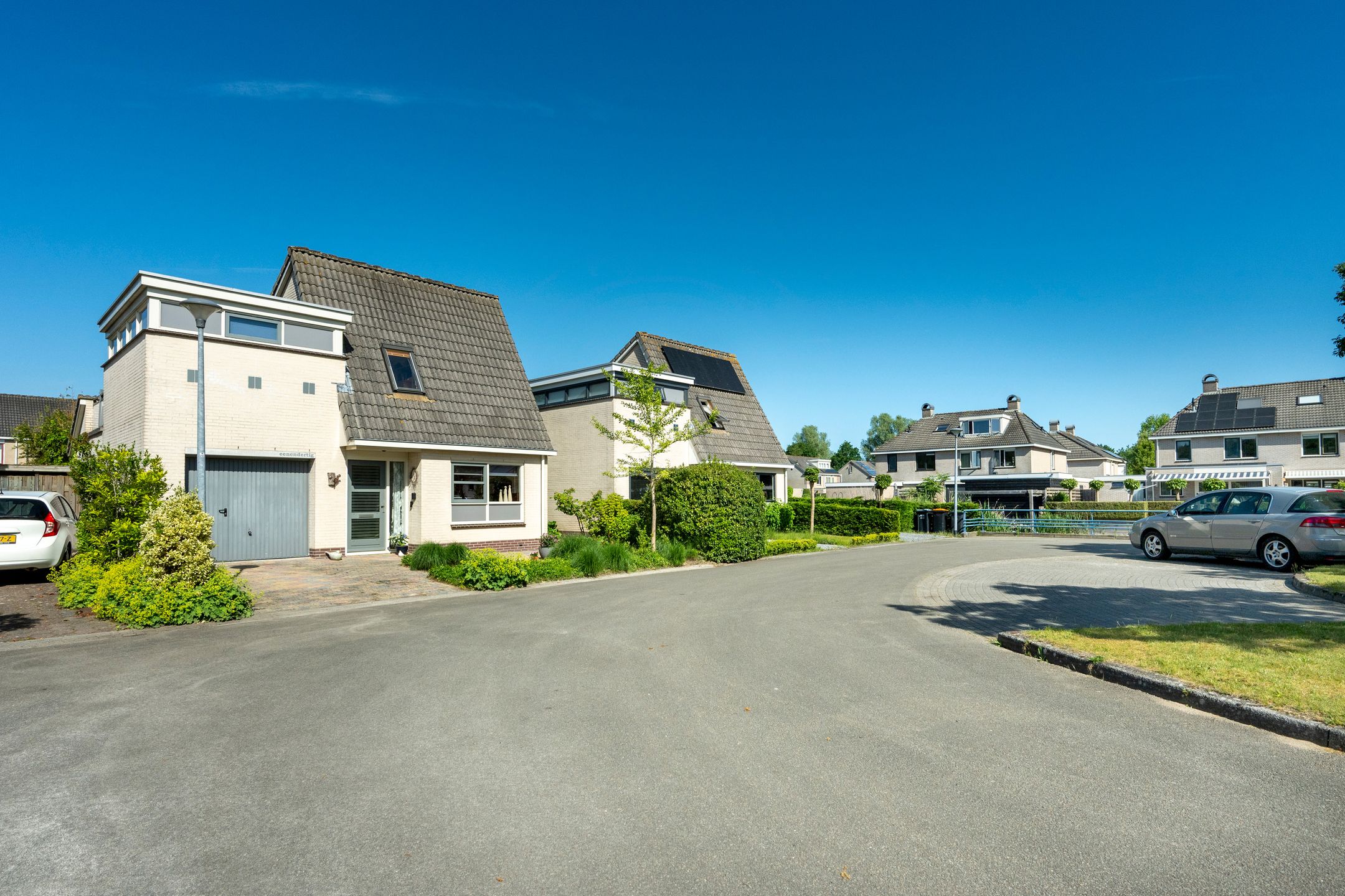 Witrugspecht 31 