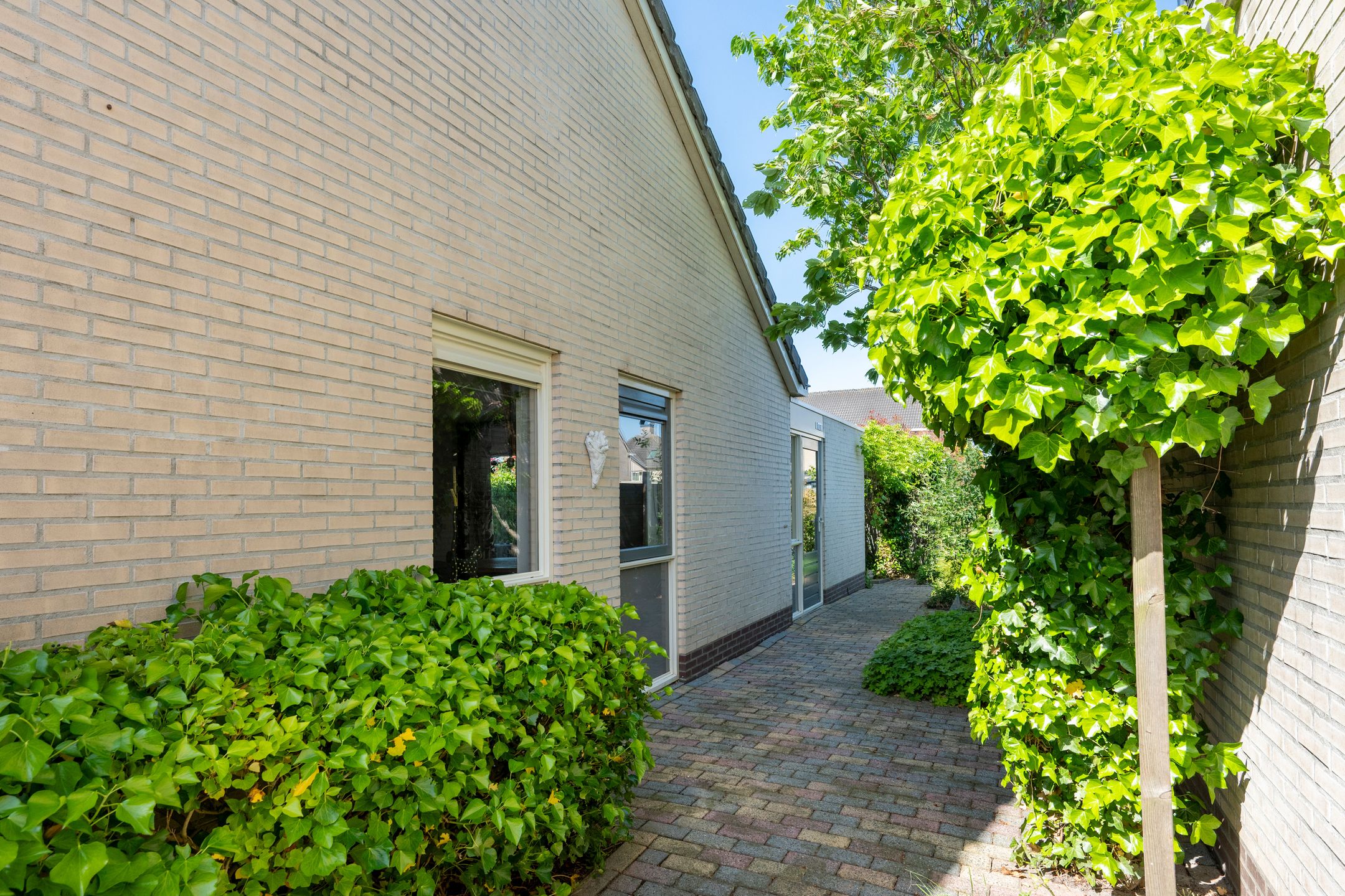 Foto 42 van Witrugspecht 31