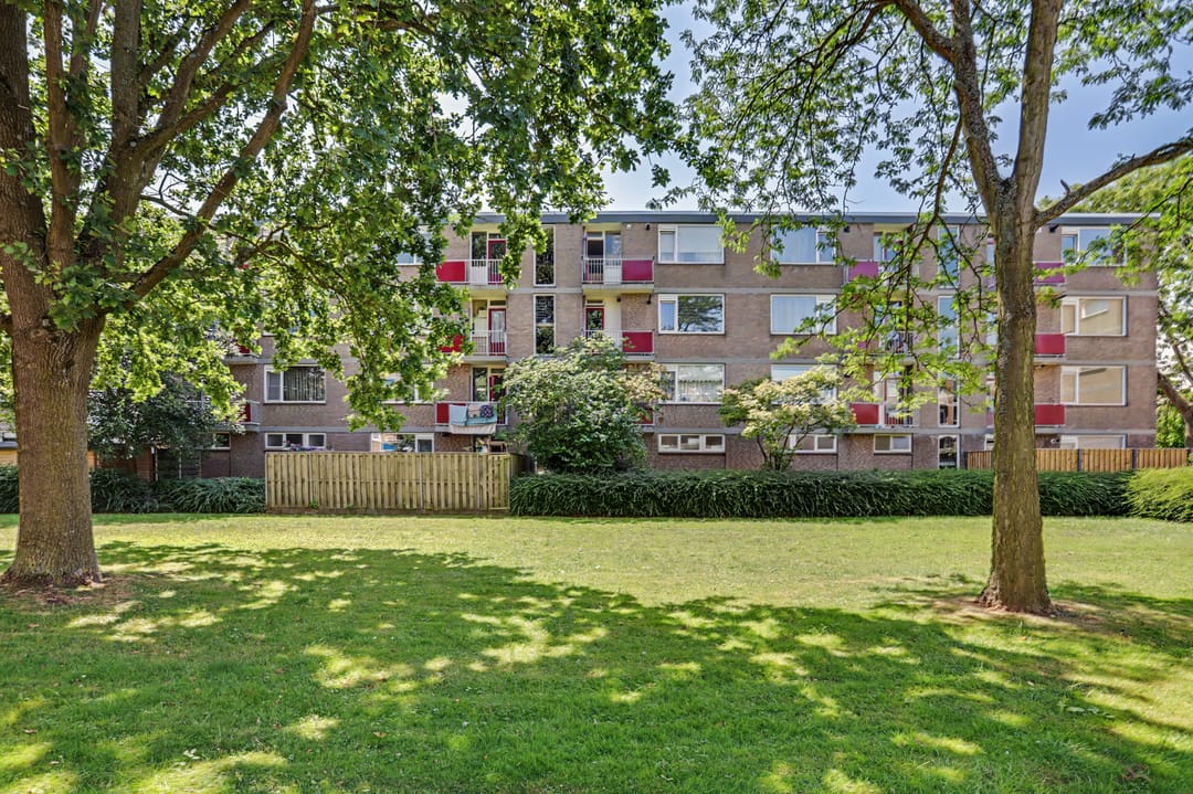 Photo 23 of Burgemeester de Zeeuwstraat 230