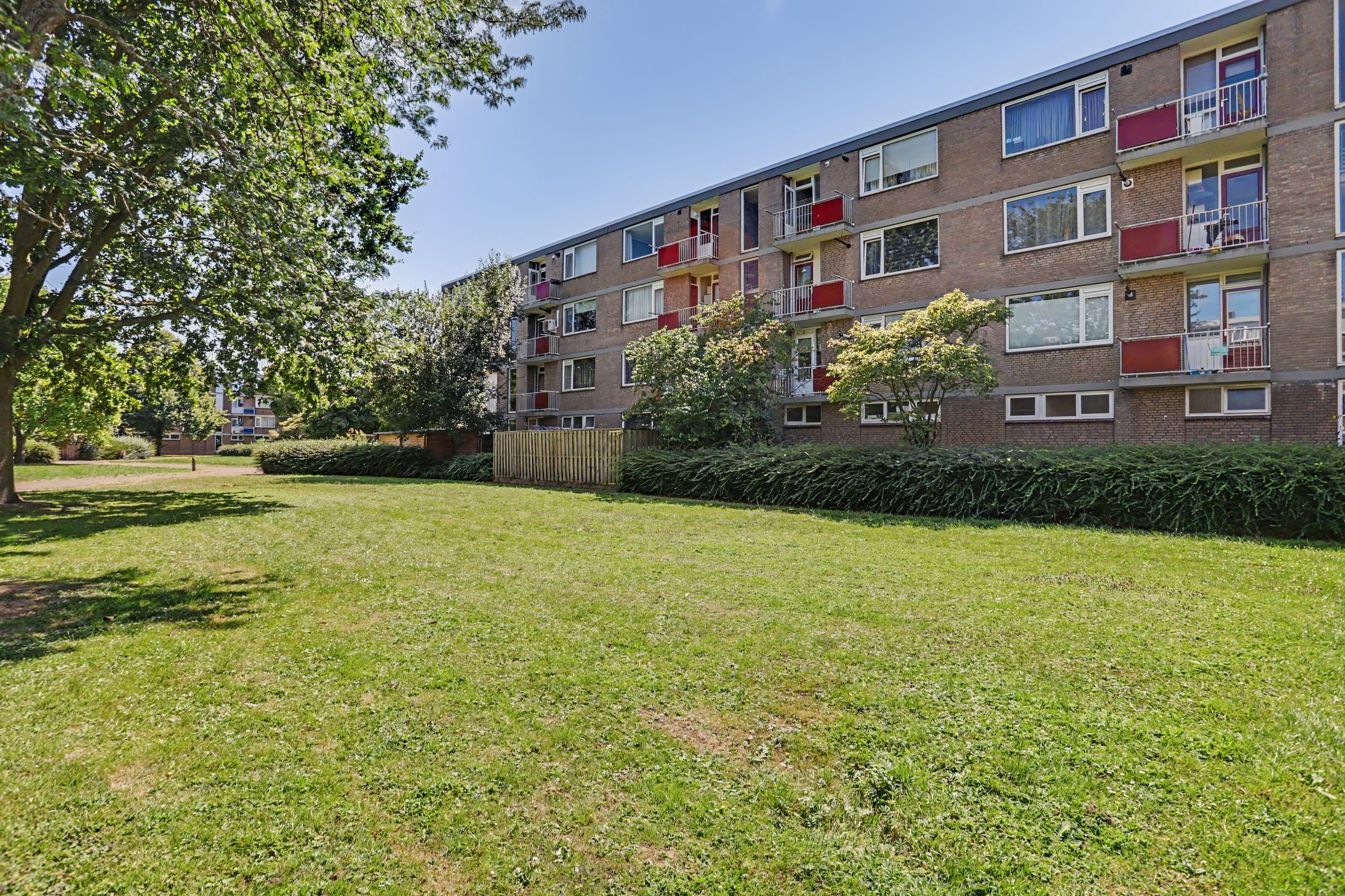 Photo 24 of Burgemeester de Zeeuwstraat 230