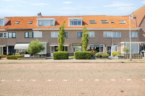Reigerstraat thumbnail