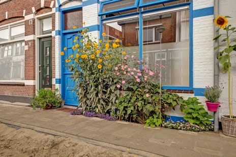 Cornelis Ketelstraat thumbnail