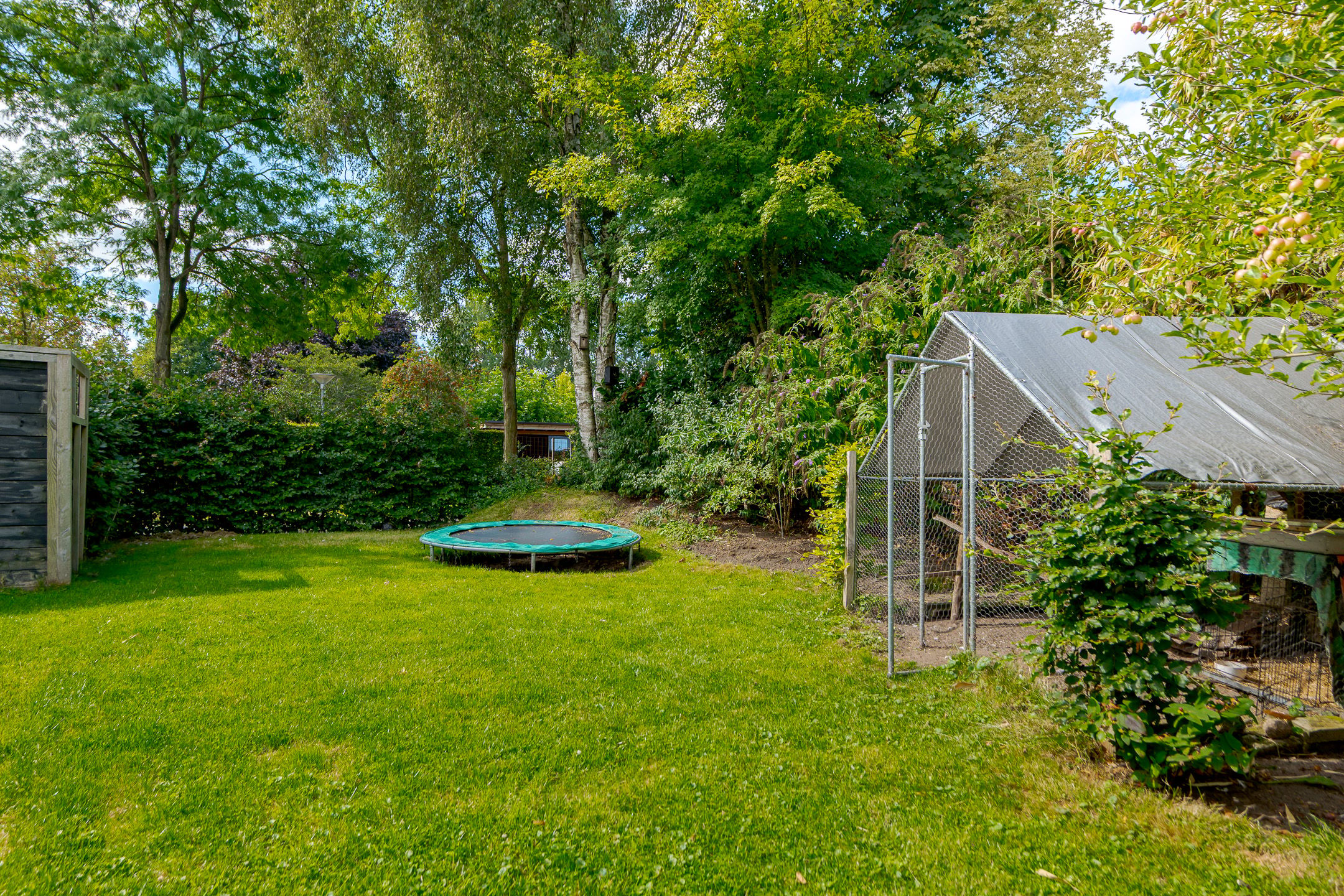 Photo 30 of Citroenvlinder 9