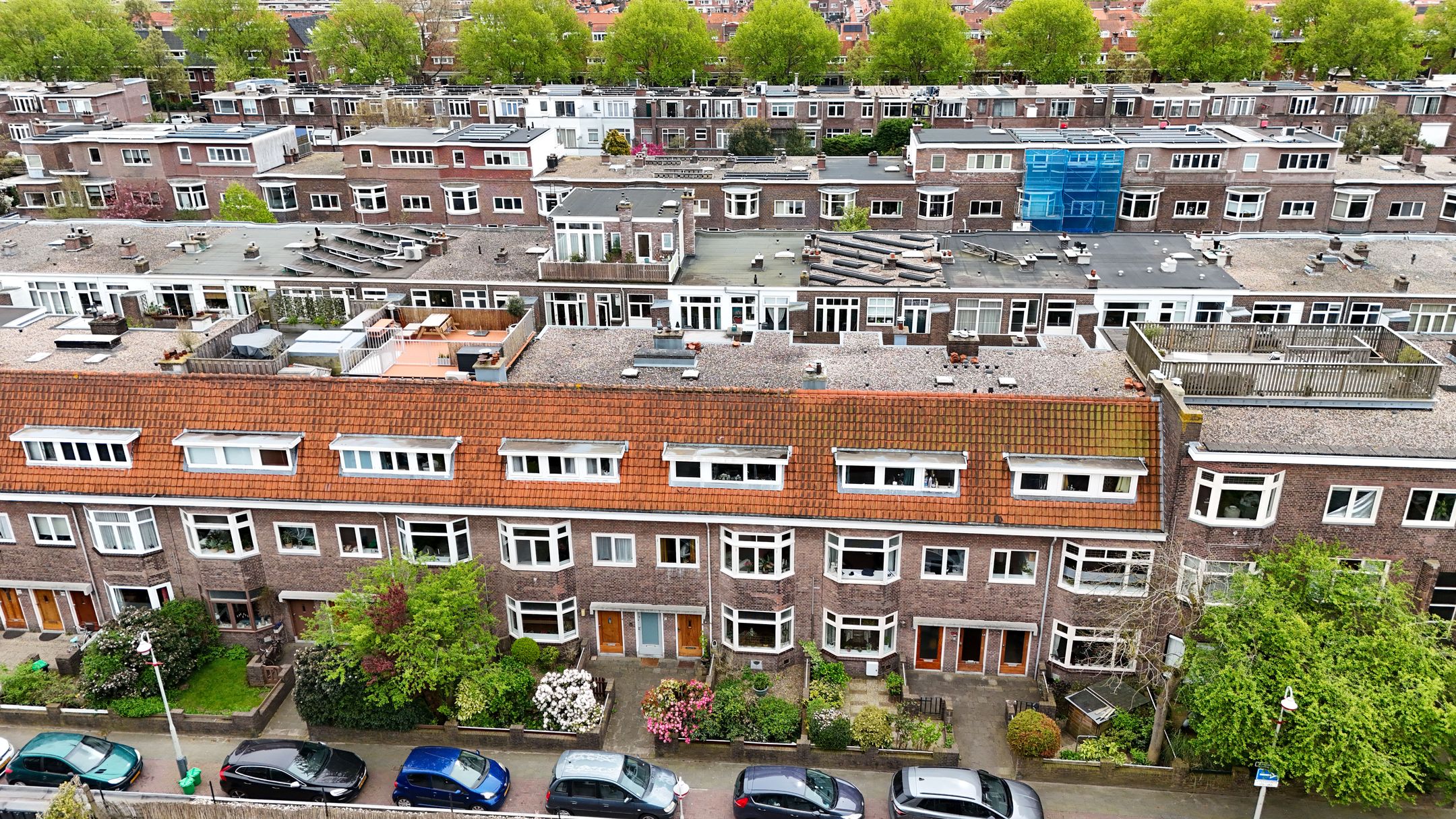 Akeleistraat 118 