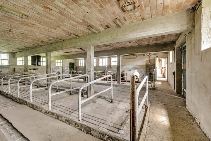 Vrijstaande woning te koop: Achterdijk 38, Odijk