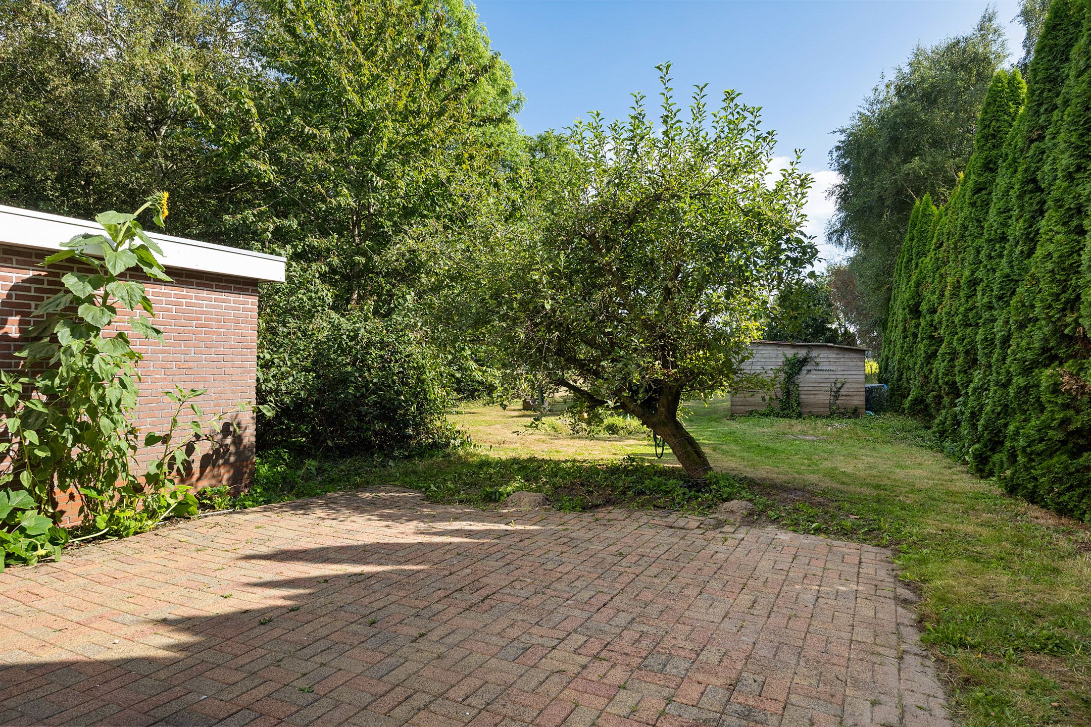 Photo 36 of Dikbroeken 8