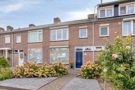 Piet Heinshof thumbnail