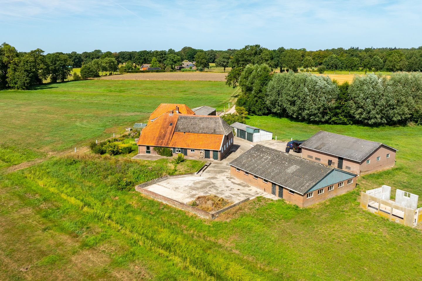 Foto 4 van Pekkeriet 4