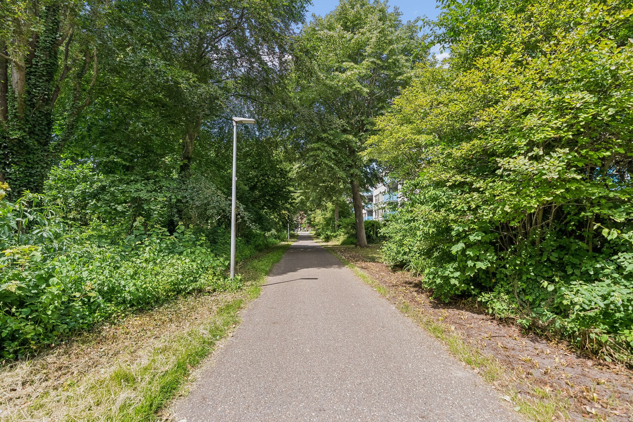 Photo 36 of Gitaarstraat 99
