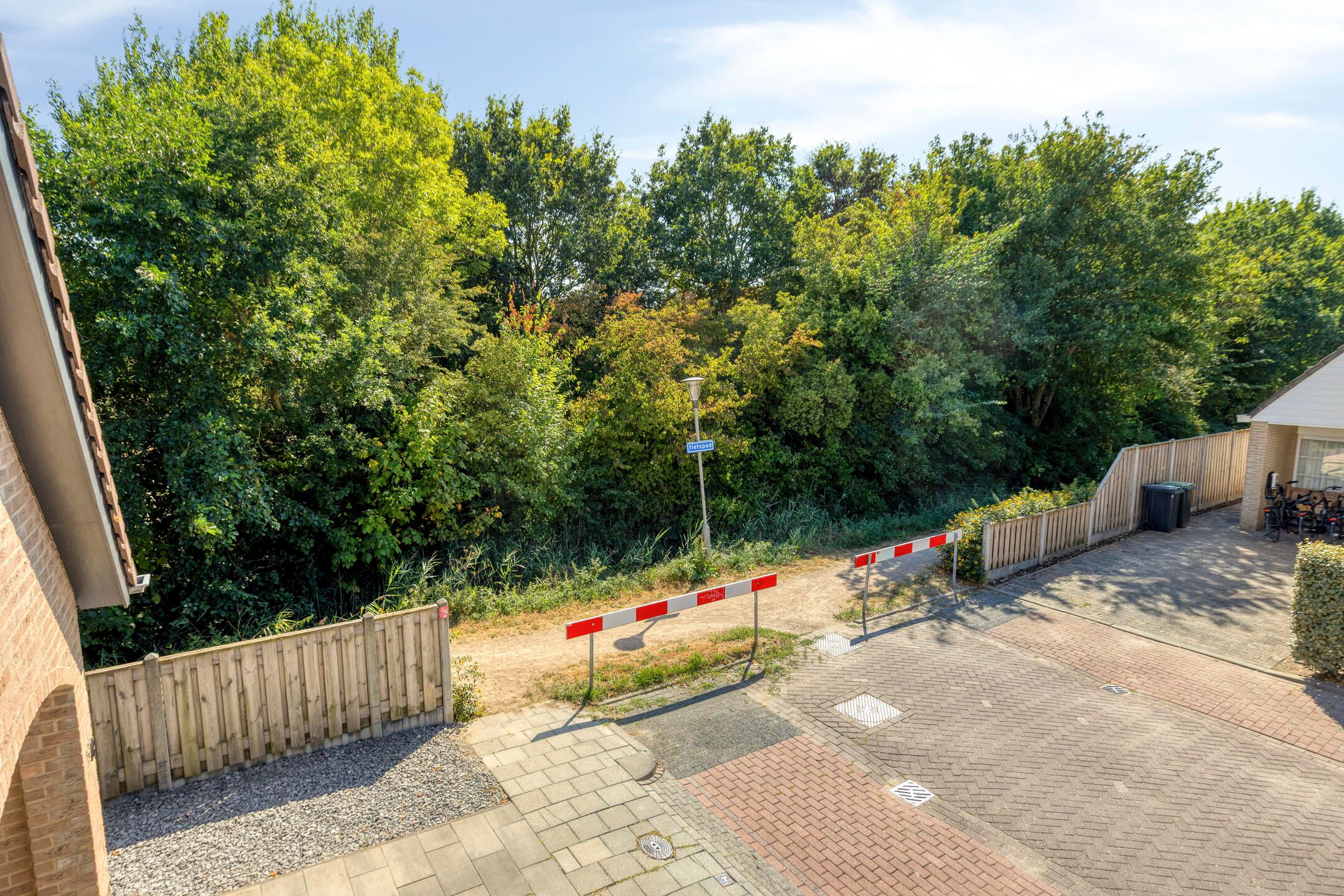 Foto 42 van Groene Specht 19