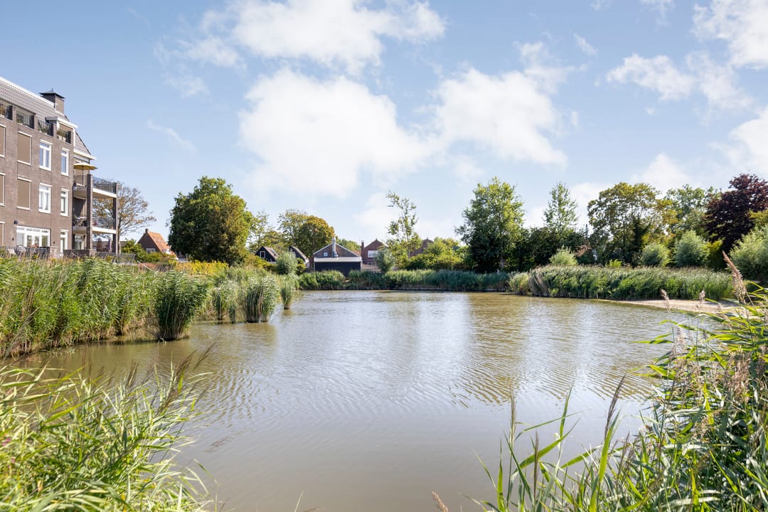 Foto 46 van Groene Specht 19