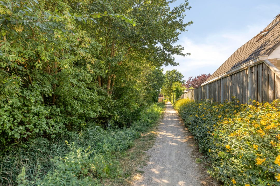 Foto 43 van Groene Specht 19