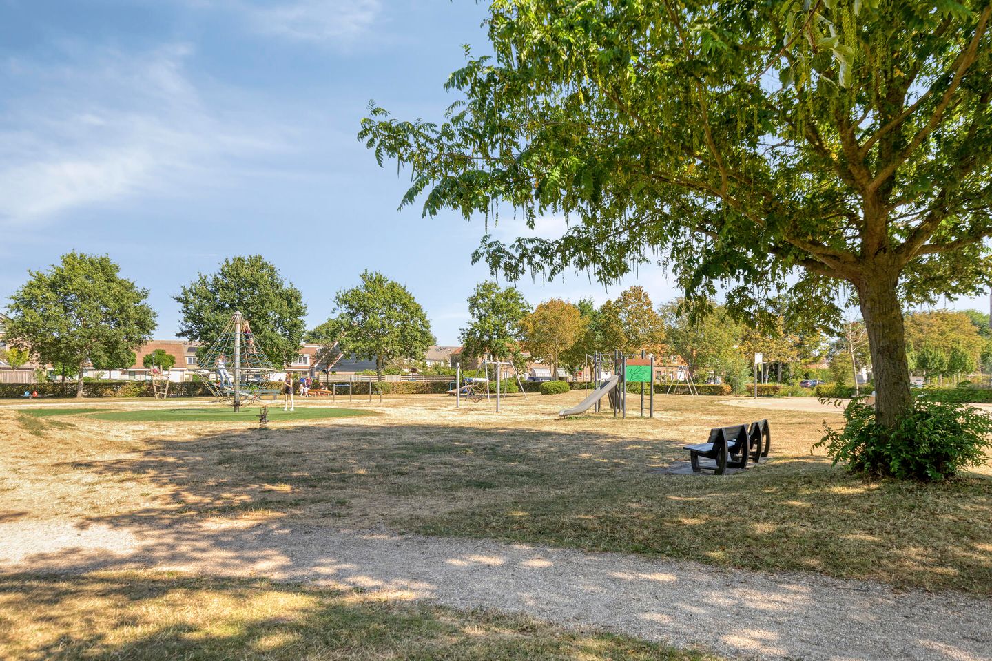 Foto 44 van Groene Specht 19