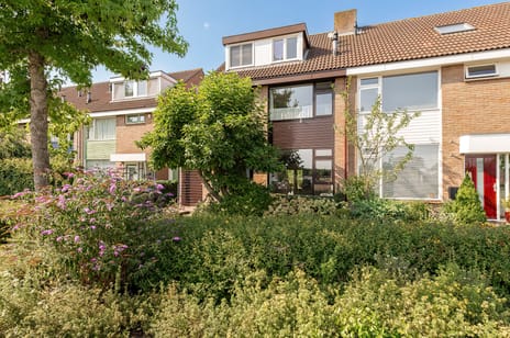 Wilgeboom thumbnail
