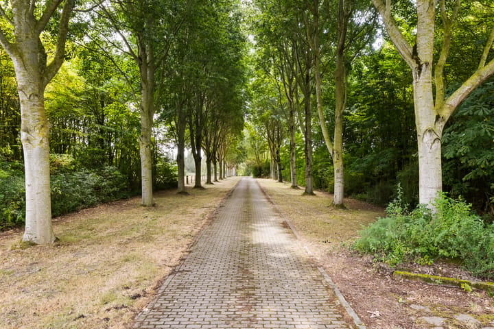 Foto 3 van Breeweg 4-B