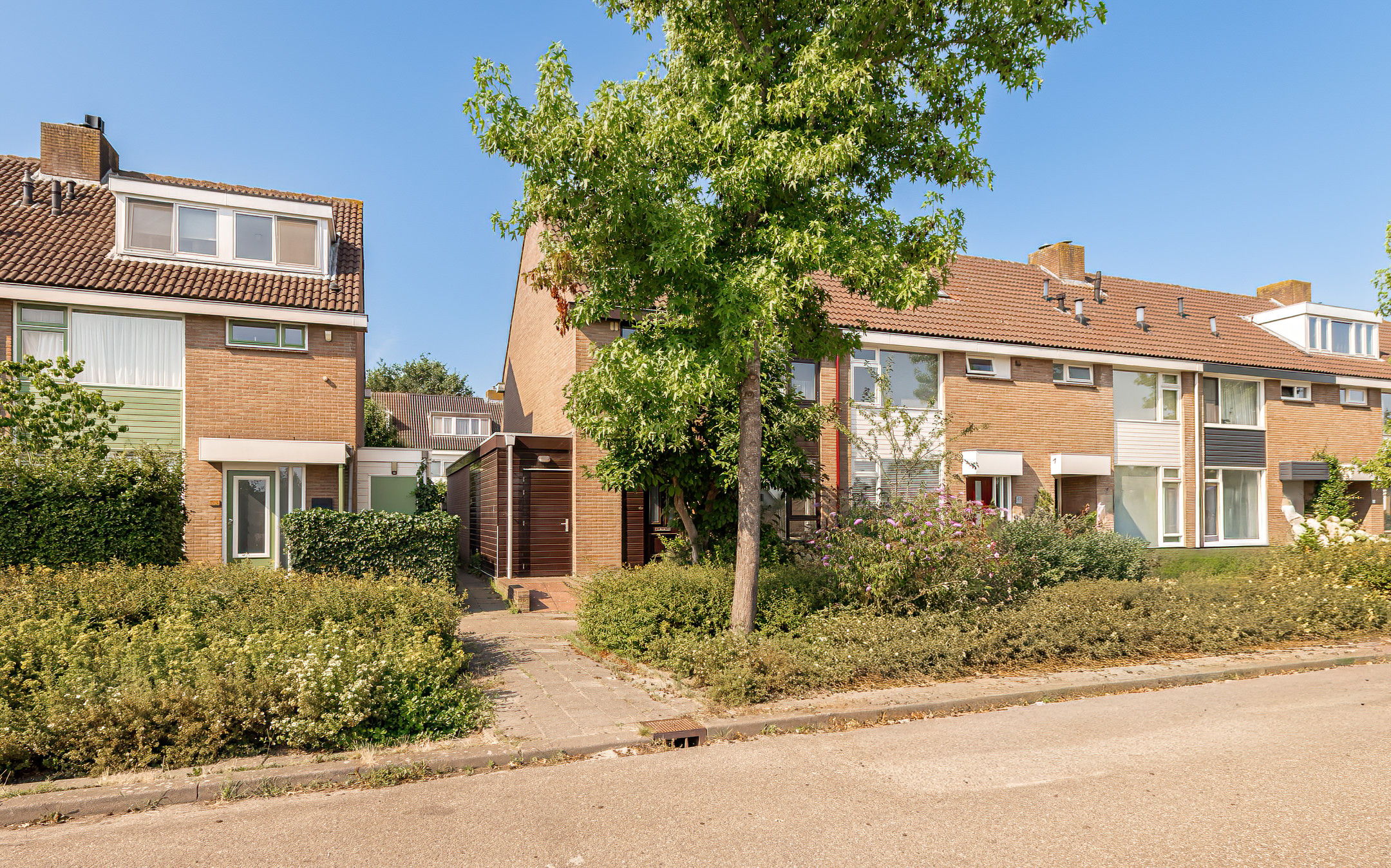 Foto 45 van Wilgeboom 51