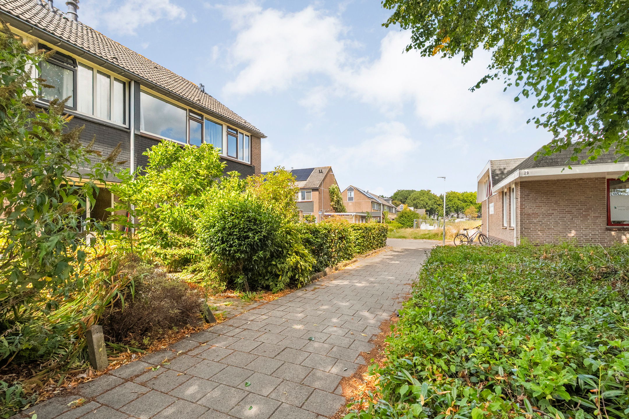 Photo 48 of Zenegroen 23