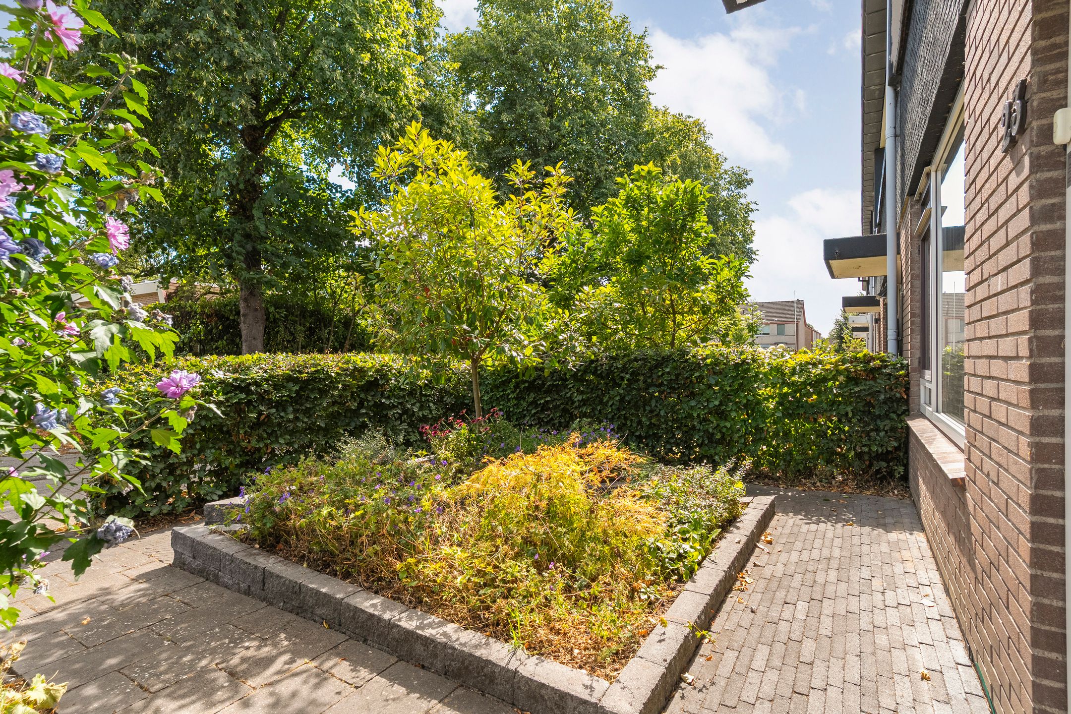 Photo 54 of Zenegroen 23