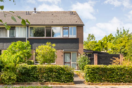 Zenegroen thumbnail
