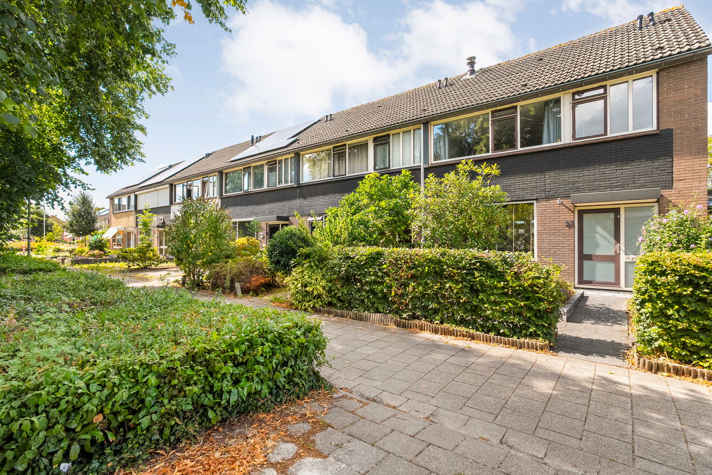 Photo 50 of Zenegroen 23
