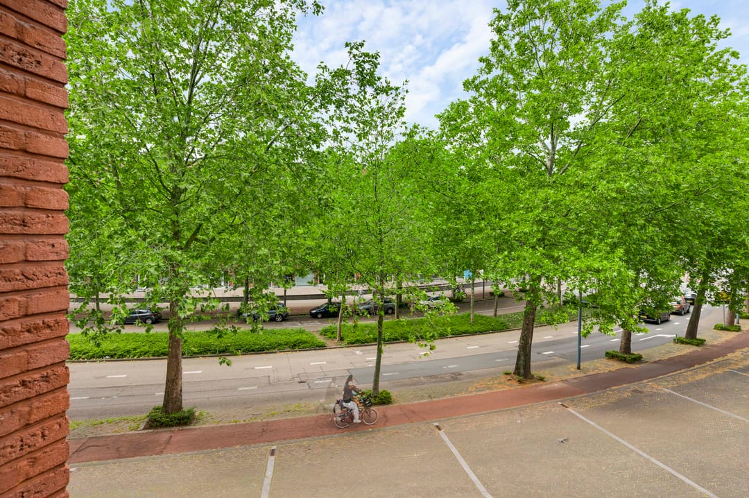 Photo 16 of Avenue Ceramique 11-C