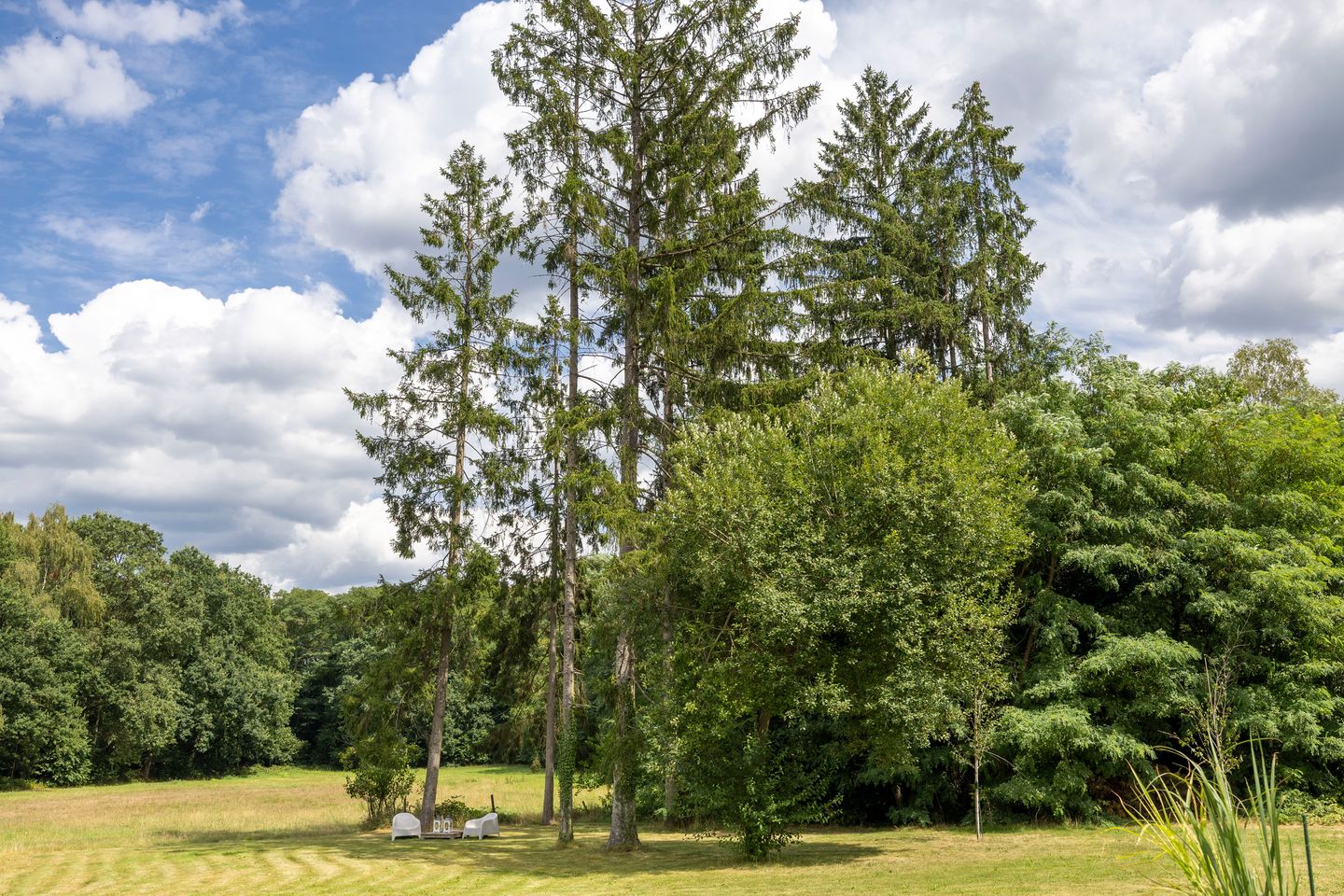 Photo 80 of Vordenseweg 3