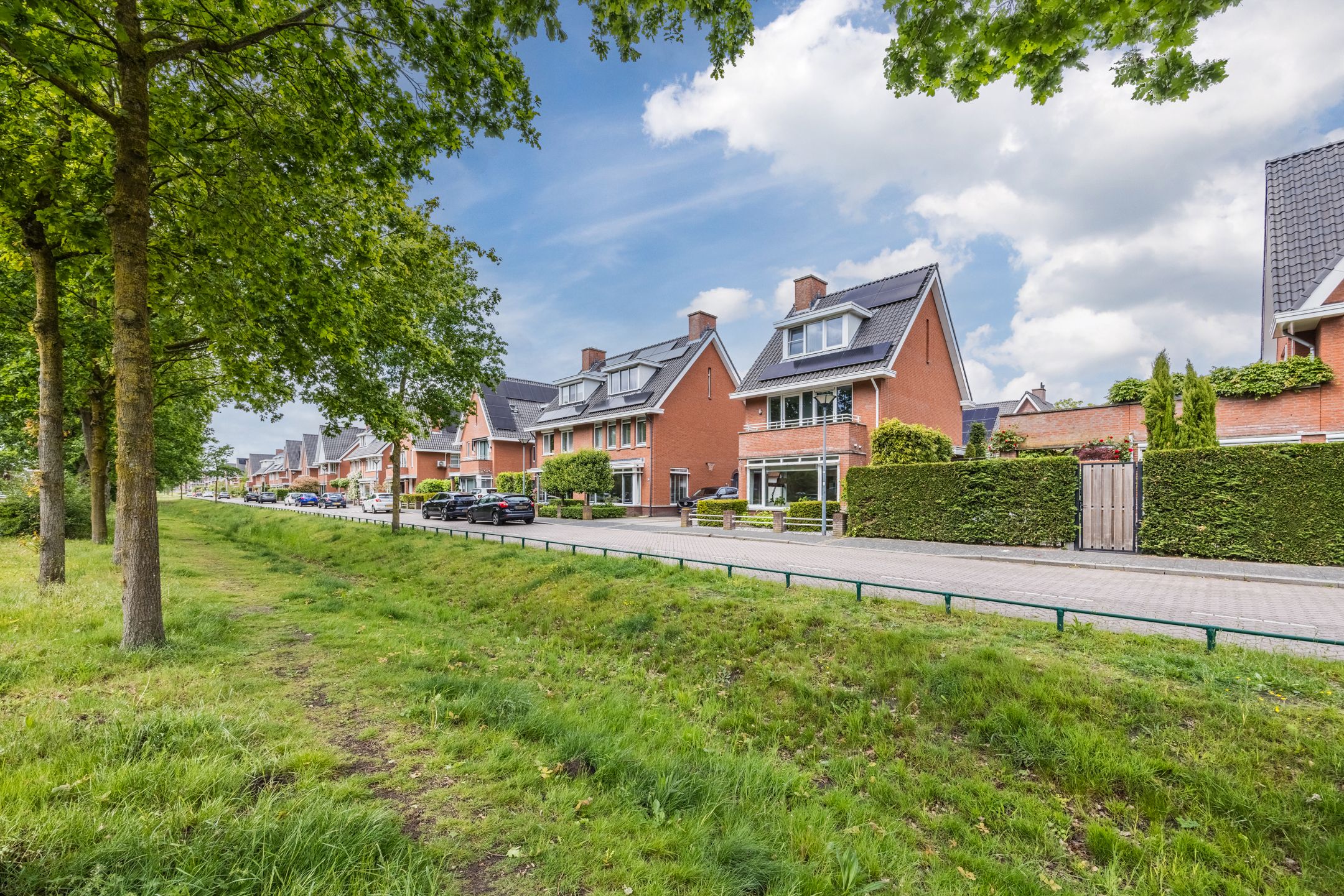 Photo 54 of Harlekijnvlinder 18