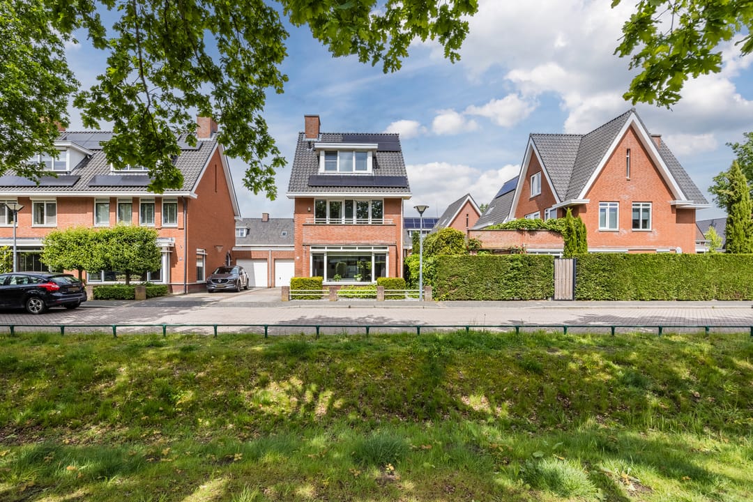 Photo 52 of Harlekijnvlinder 18