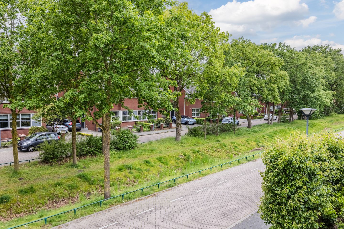 Photo 50 of Harlekijnvlinder 18