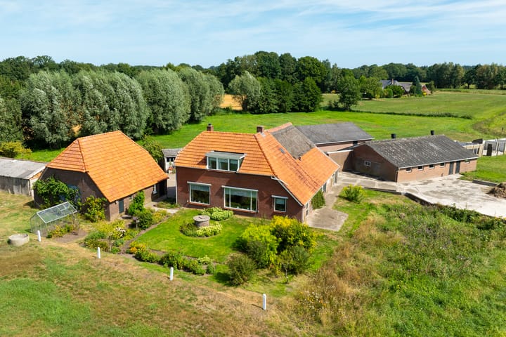 Pekkeriet 4