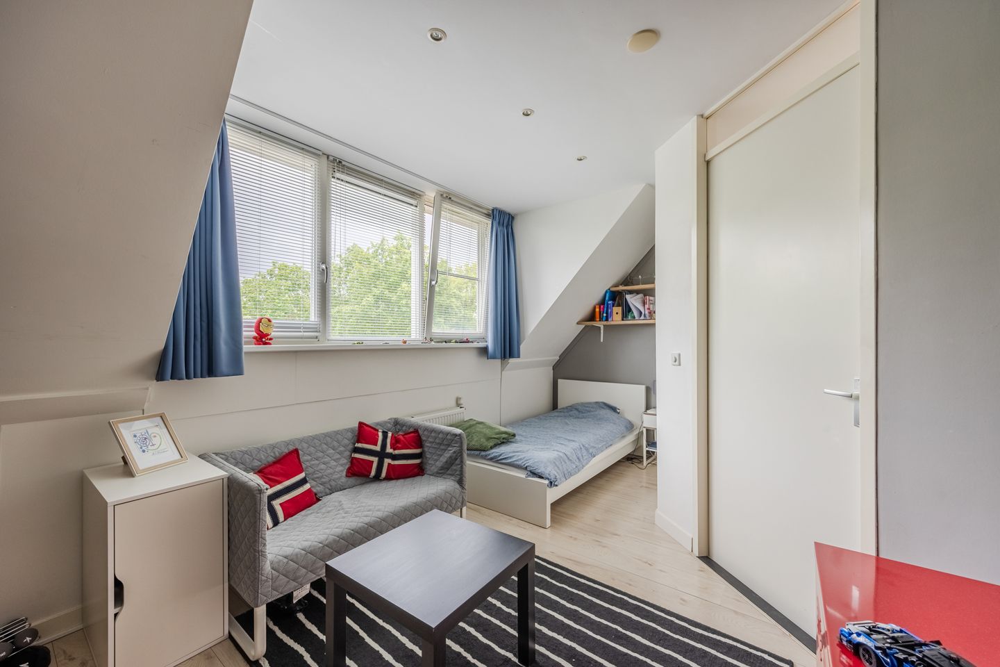 Photo 34 of Harlekijnvlinder 18