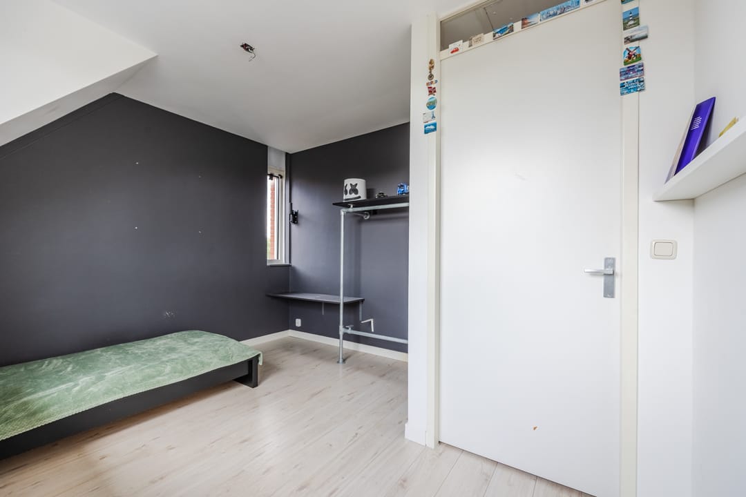 Photo 37 of Harlekijnvlinder 18