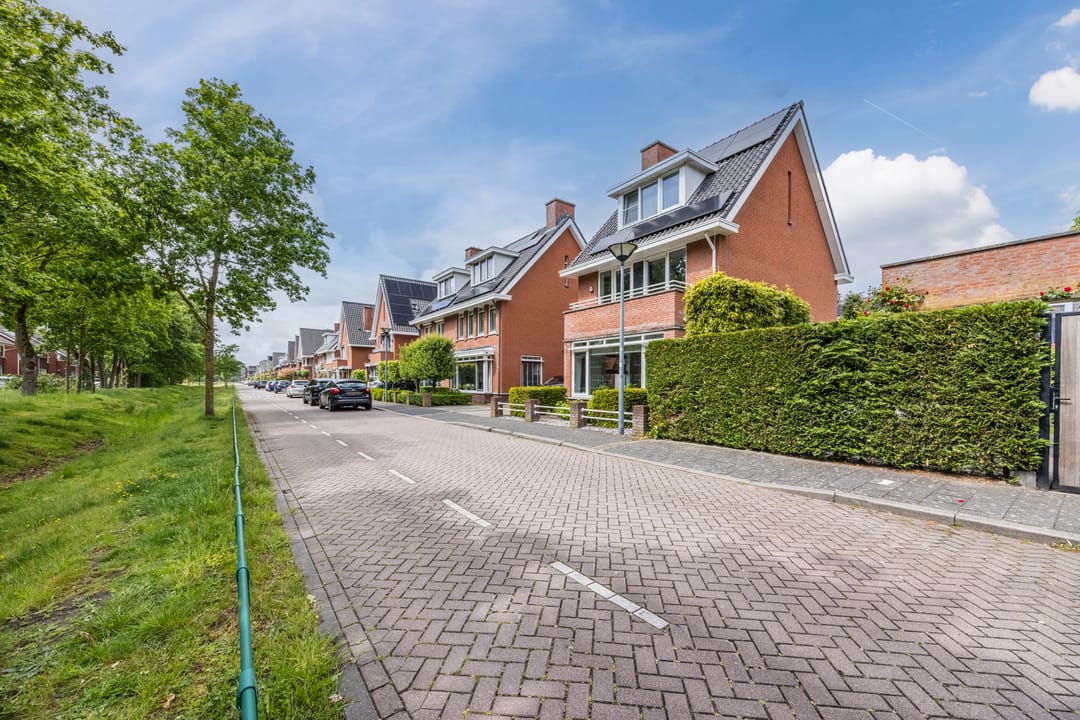 Photo 53 of Harlekijnvlinder 18