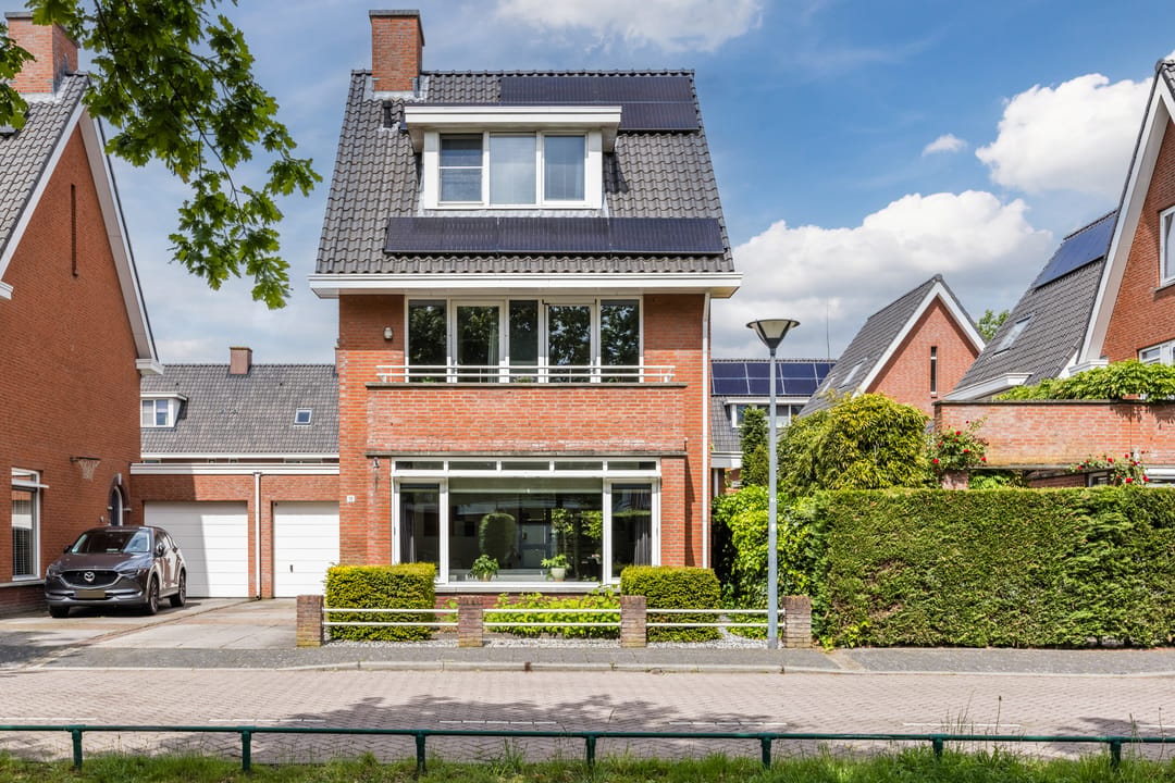 Photo 1 of Harlekijnvlinder 18