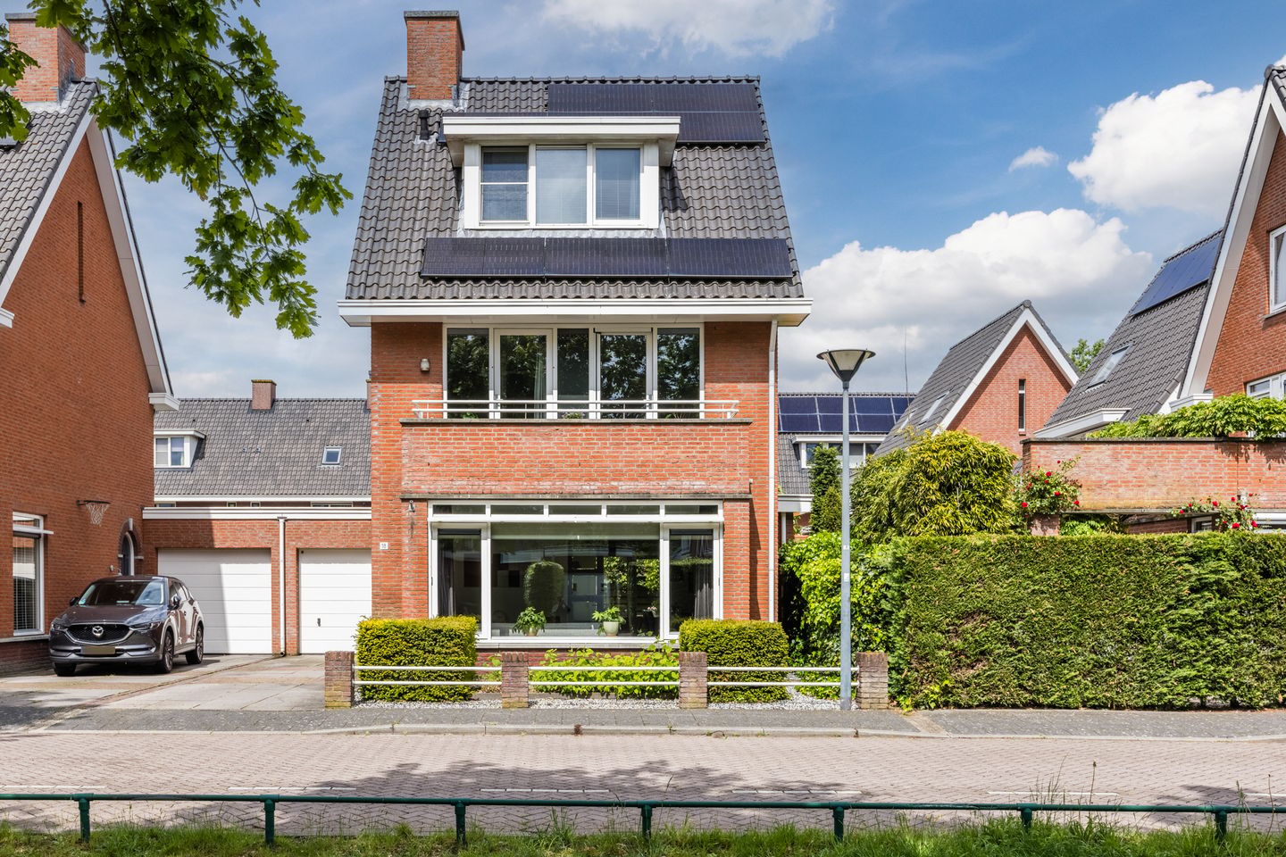 Photo 1 of Harlekijnvlinder 18