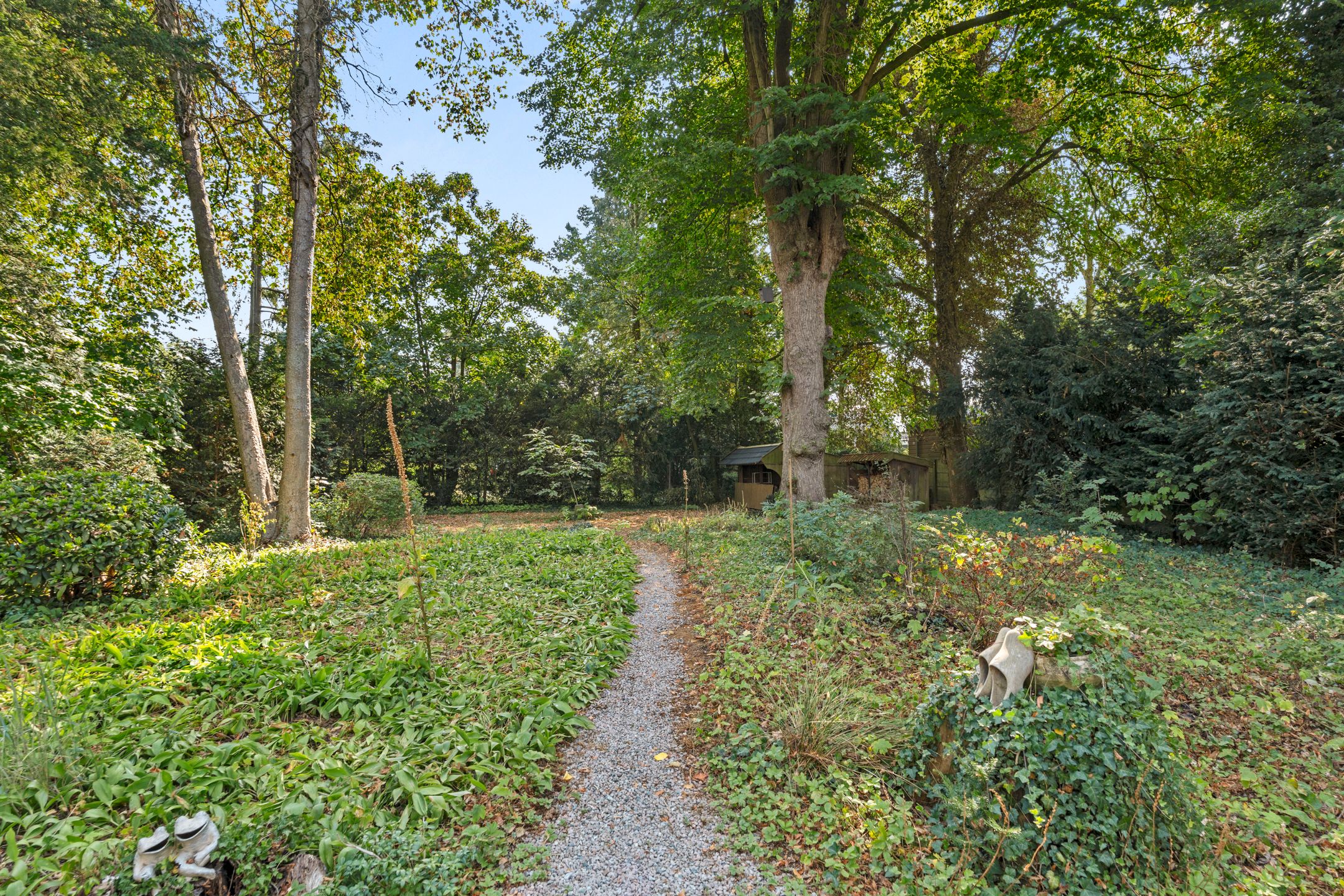 Photo 42 of Bovenweg 17