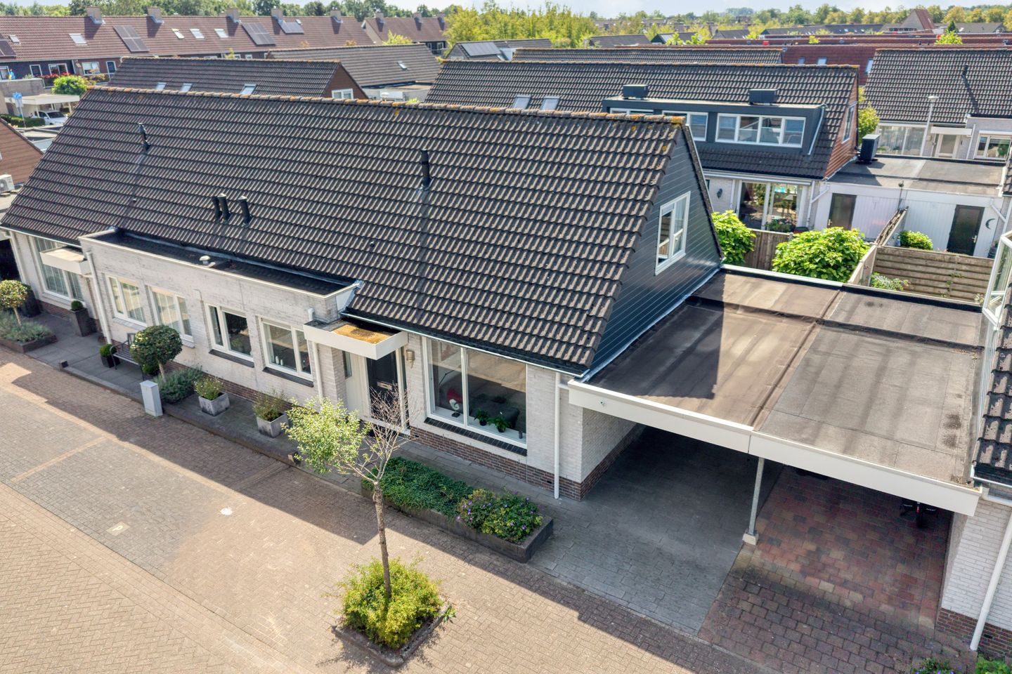 Foto 4 van Heivlinder 7