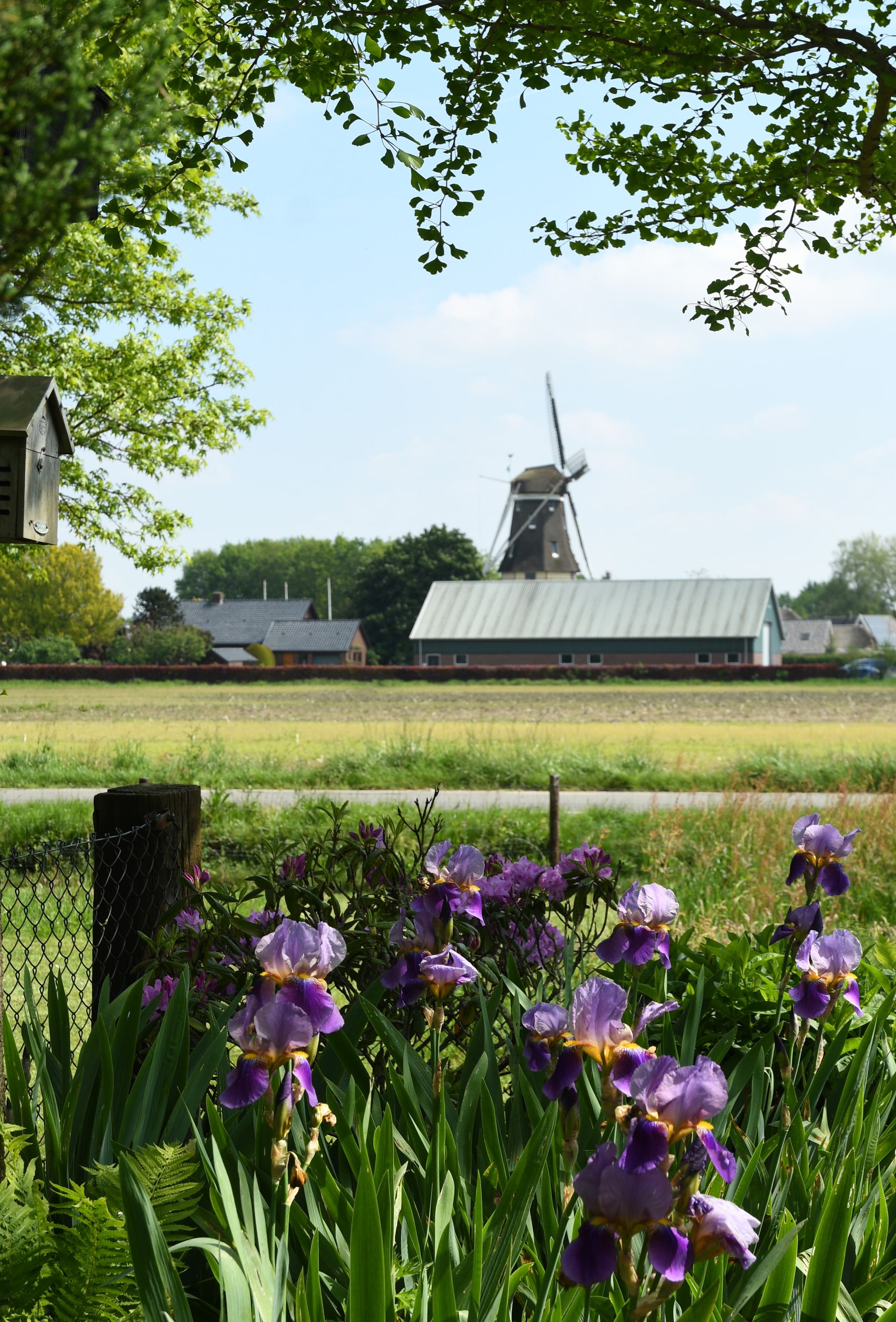 Photo 36 of Puurveenseweg 31