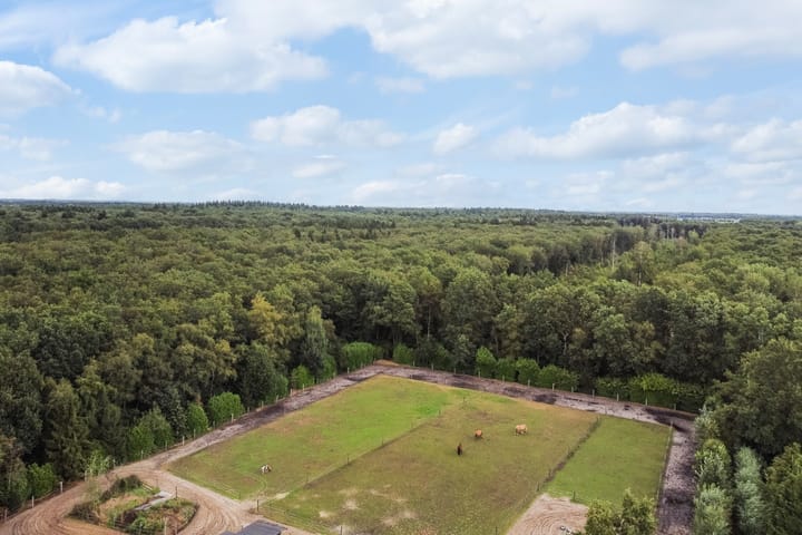 Foto 2 van Oostwijk 13