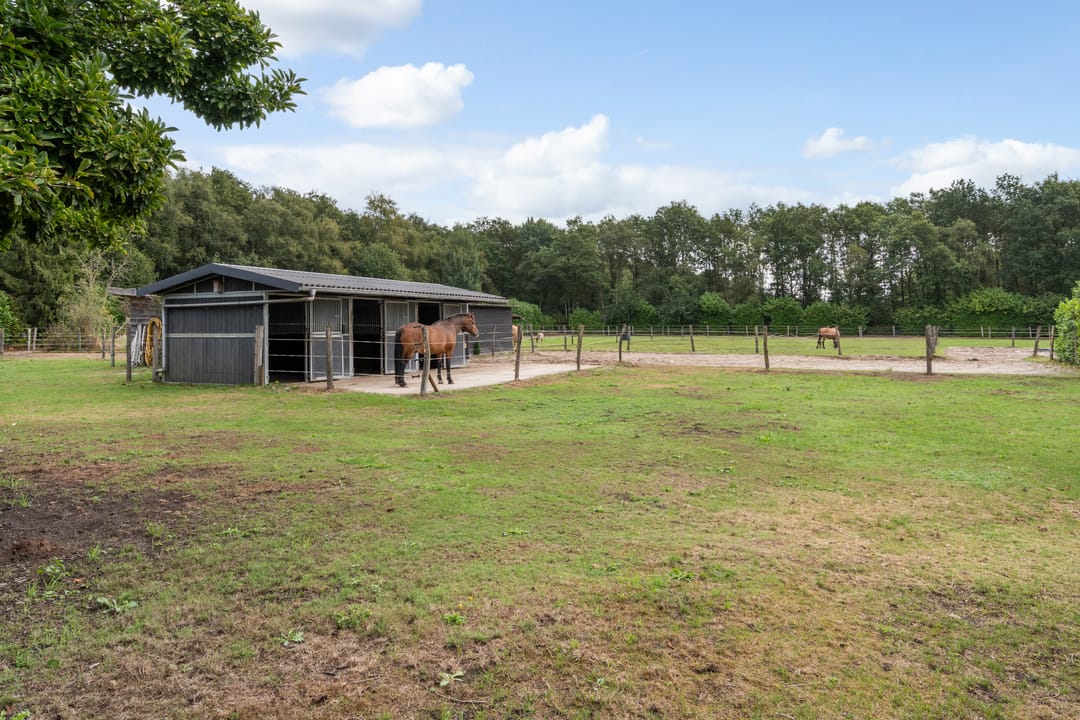 Photo 38 of Oostwijk 13